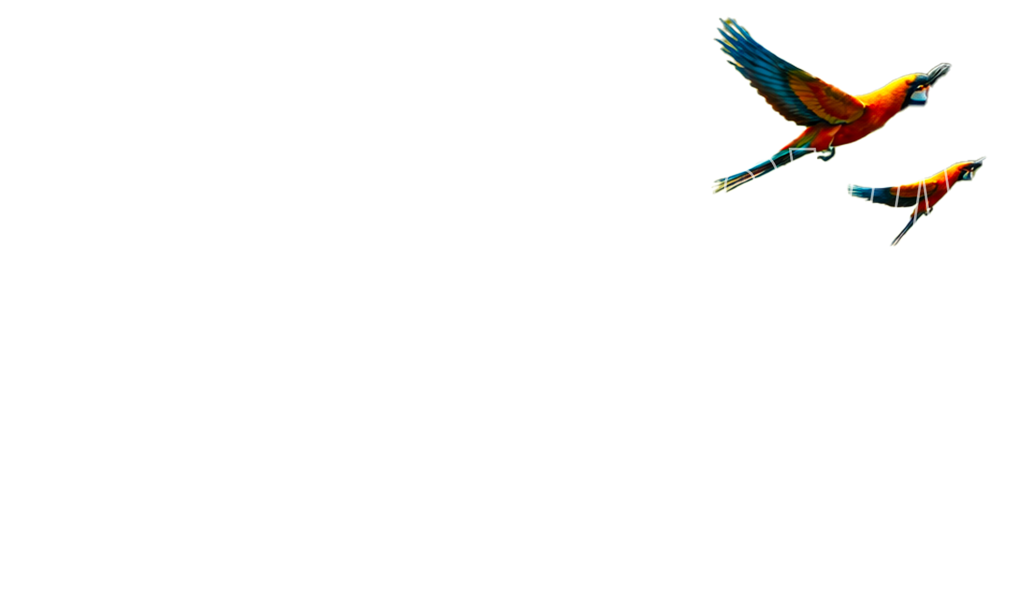 Datová džungle